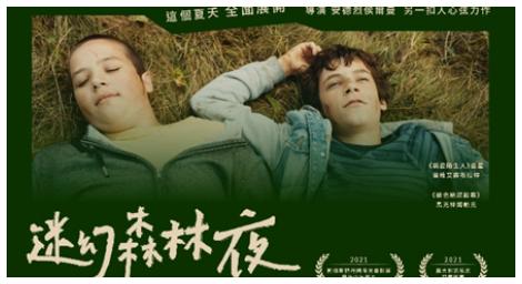 《迷幻森林夜》不僅僅是一場探險 更像是一次心靈的深度之旅