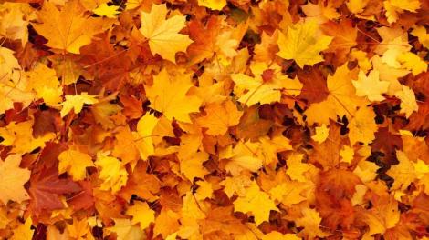 9/23「秋分」到！三大星座財運飆升15天　射手座第三名