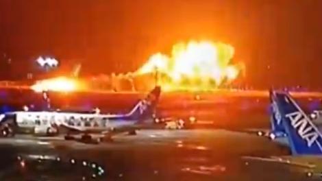 日航飛機爆炸「愛貓慘死機內」主人崩潰痛哭：抱歉讓你孤單死掉