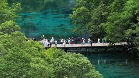網傳九寨溝絕美湖水是「顏料染的」？官方嚴正澄清：純屬謠言！揭秘三大自然奇觀真相