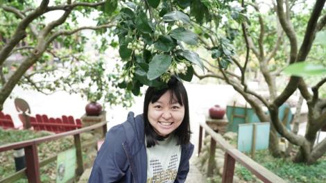 新北八里「柚花秘境」　連假踏青首選