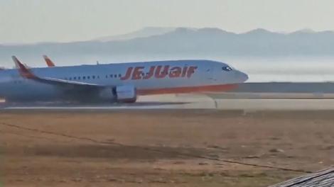 政局動盪未解　韓國再遇30年來最嚴重空難