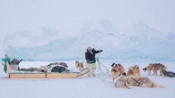 紐約狗派男裸辭環遊世界 記錄人與狗狗的故事