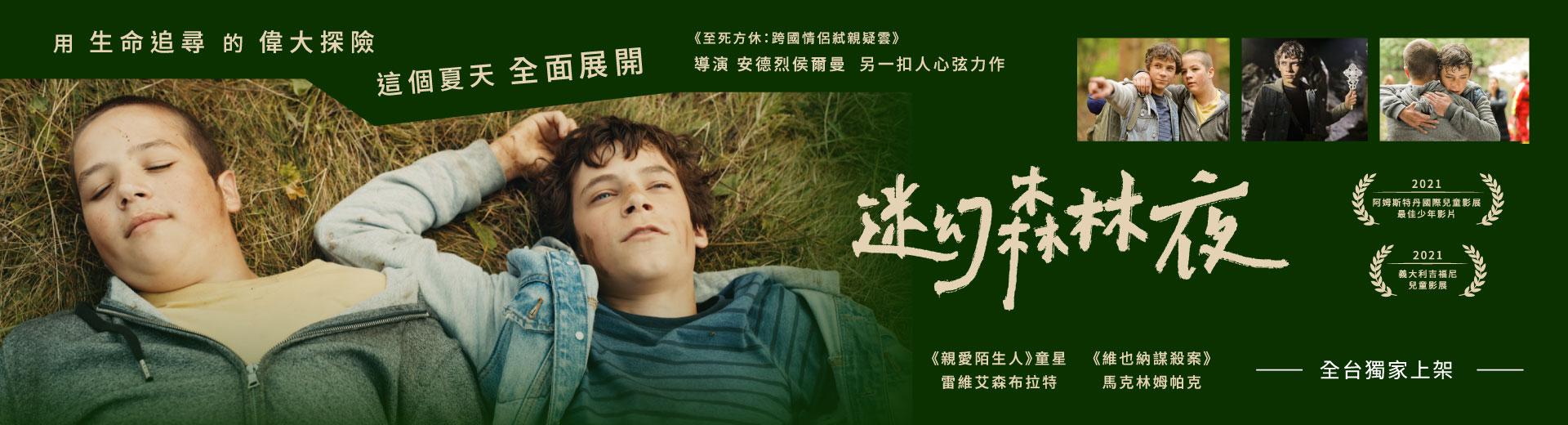 迷幻森林夜Night Forest