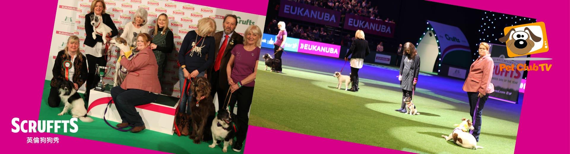 寵物TV 2025年8月推薦節目