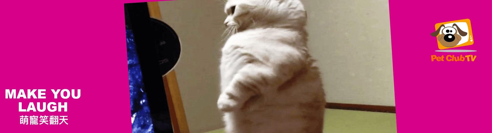 寵物TV 2025年9月推薦節目