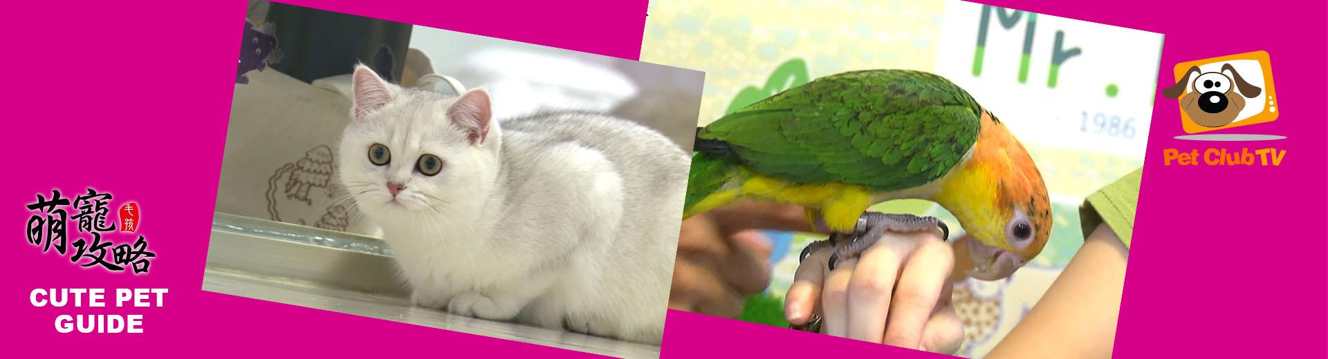 寵物頻道 2026年5月推薦節目