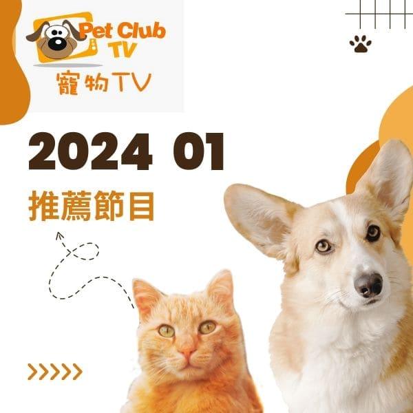 寵物TV 2024年1月推薦節目