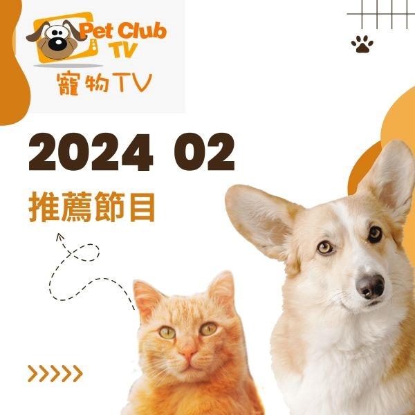 寵物TV 2024年2月推薦節目