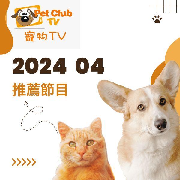 寵物TV 2024年4月推薦節目