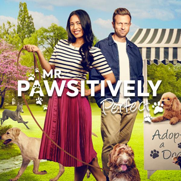 Mr. Pawsitively Perfect