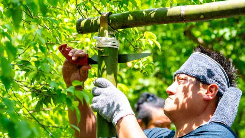 桃園復興區「竹筍產業推廣活動」登場　在地美食＋竹工藝欣賞