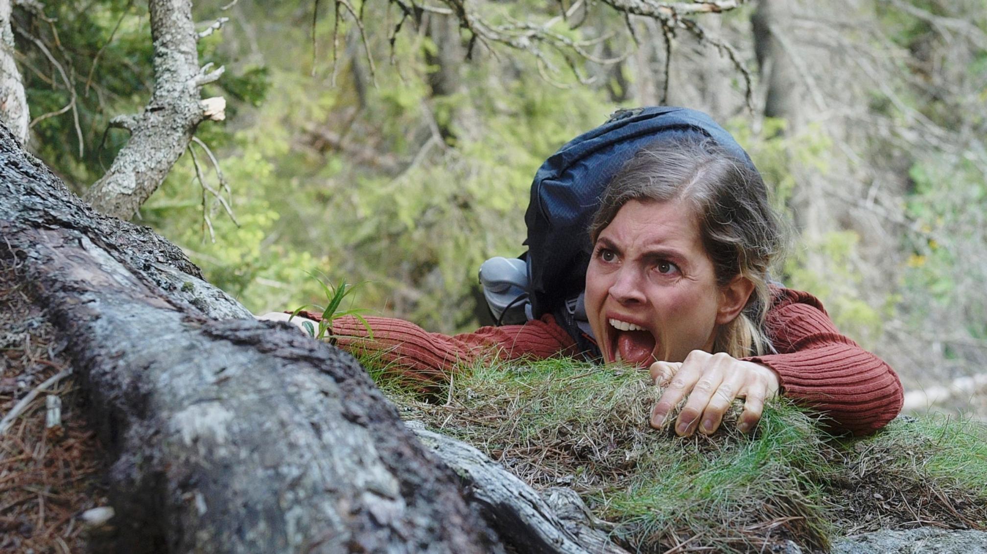 一張含有 戶外, 樹狀, 草, 石頭 的圖片

自動產生的描述