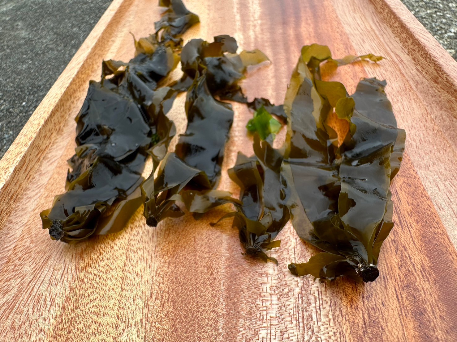 東北角海岸春季限定「腳白菜」獨特海藻超美味