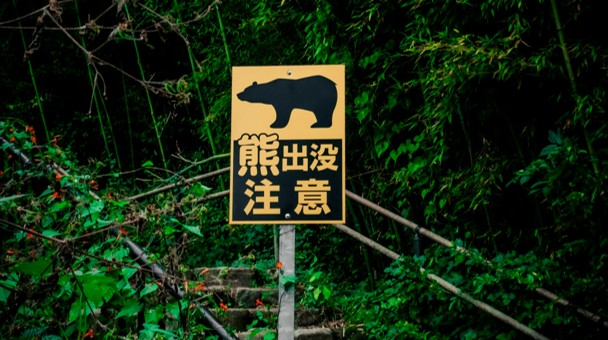 日本宇都宮市鬧熊患　近百所學校被迫關閉
