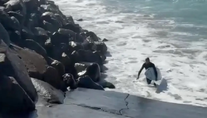 意外錄下衝浪客遭海浪吞噬！疑現猛烈撞擊聲　她下一步這樣做